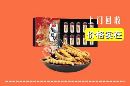 兴化市回收冬虫夏草