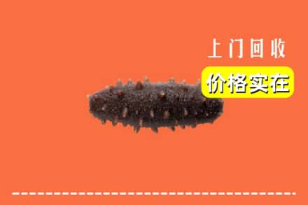 兴化市回收海参
